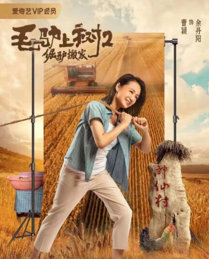 欧美日韩免费一区二区在线观看